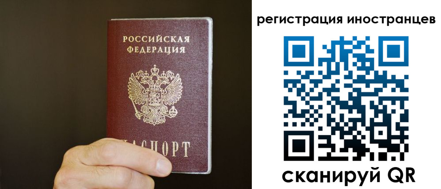 прописка в Семилуках